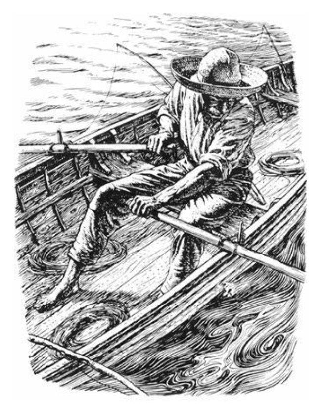 《老人与海》插画
